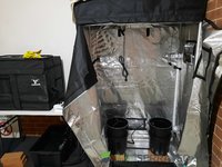 tent2.jpg
