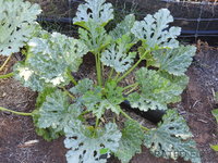 DSCN5704.JPG