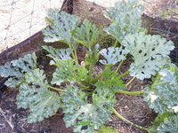 DSCN5705.JPG