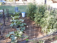 DSCN5710.JPG