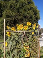 IMG_20220323_095420.jpg