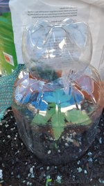 IMG20221201132416.jpg