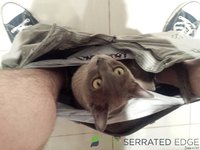 6A38C46B-3207-4205-9F3C-93085F347DF5.jpeg