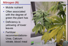 Screenshot 2023-03-10 at 3.47.44 pm.png