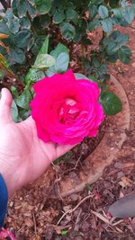 20230419_172725.jpg