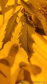 20230625_161613.jpg