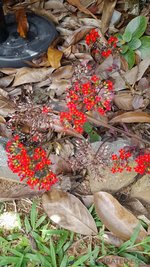 20231011_122003.jpg