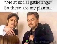 myplants.jpg