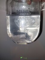 20250228_094311.jpg