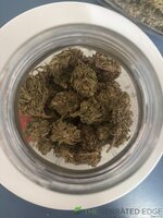 IMG_7055.jpeg