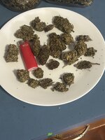 IMG_7053.jpeg