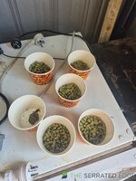 20260426_094449.jpg