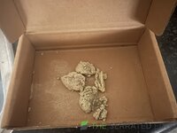 IMG_4954.jpeg