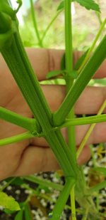 20201214_105427.jpg