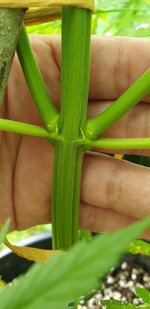 20201214_105316.jpg