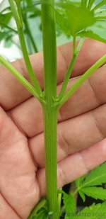 20201214_105126.jpg