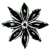 sacredseedsaustralia.co