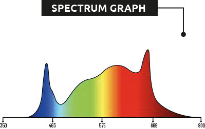 ZEUS-LED-GRAPHS-600W.png