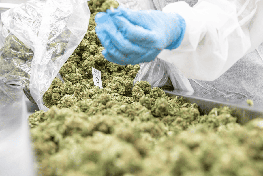 ecs-botanics.com