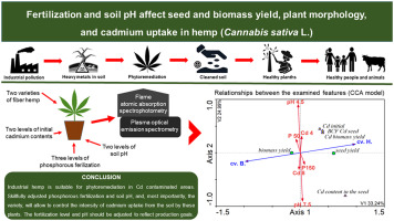 www.sciencedirect.com