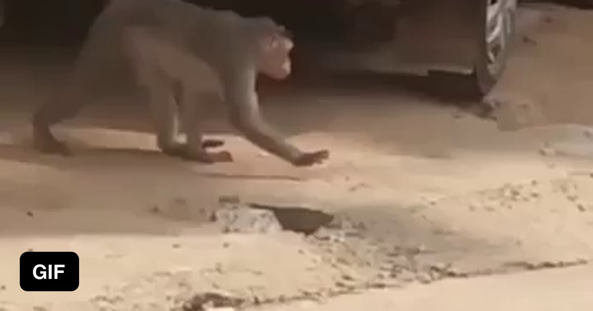 9gag.com