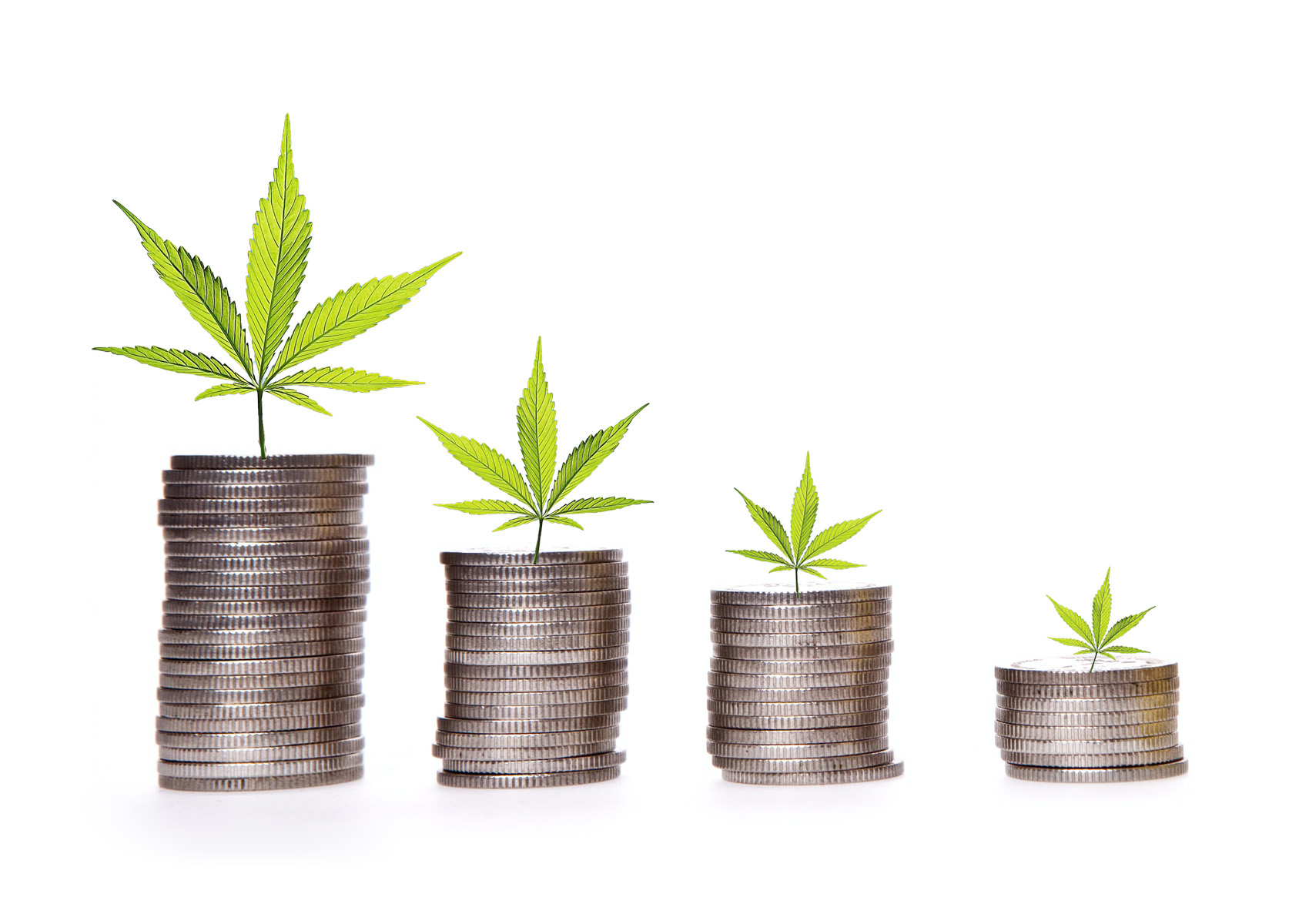 www.cannabiz.com.au