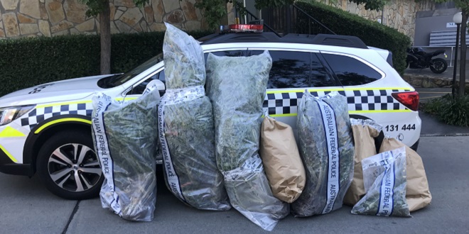 citynews.com.au